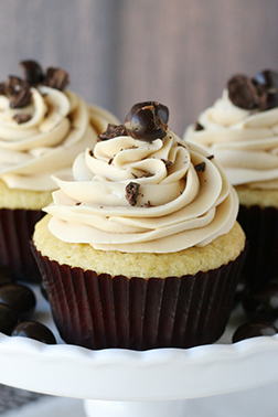 Mocha Whisper Dozen Cupcakes