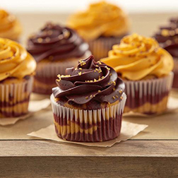 Chocolate and Gold Cupcakes