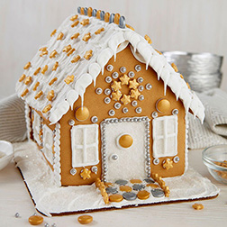 Draped In Stars Gingerbread House