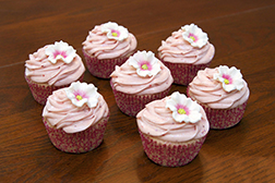 Daisy Swirls Dozen Cupcakes