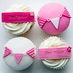 Pink Party Birthday Dozen Cupcakes