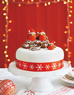 Red and White Yule Log Christmas Cake