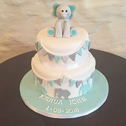 Blue Baby Elephant Cake