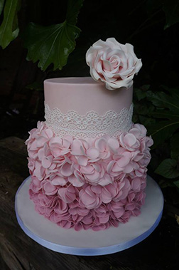 Pink Petals & Lace Cake