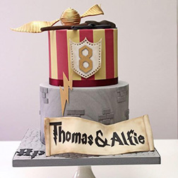 Harry Potter Themed Cake 1