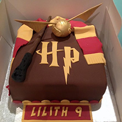 Harry Potter Themed Cake 2
