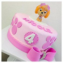 Paw Patrol Skye Cake