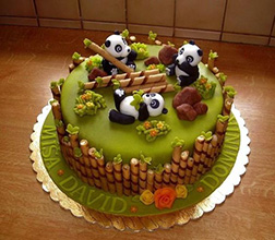 Panda Playtime Cake