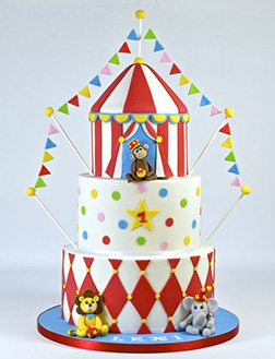 Star Performers Circus Cake 4
