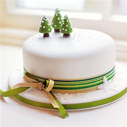 Winter Wonder Christmas Cake