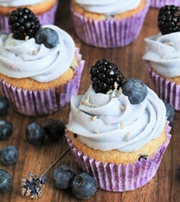Berry Lavender Cupcakes