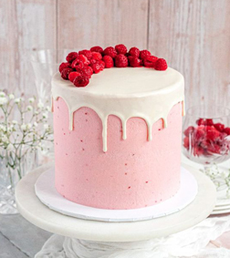 Berry Blast Bash Cake