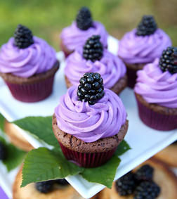 Blackberry Purple Cupcakes