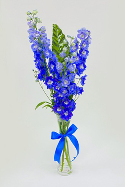 Blissful Blue Bouquet, Hand-Bouquets
