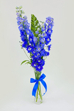 Blissful Blue Bouquet