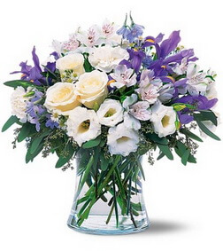 Blissful Bouquet, Carnations