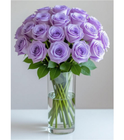 Blooming Rose Serenity