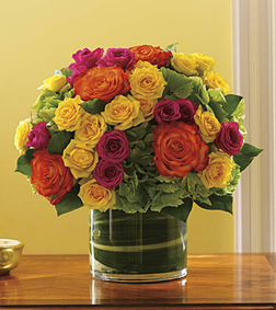 Blossoms in Vogue, Roses