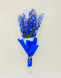 Blue Delphinium Bouquet, Hand-Bouquets