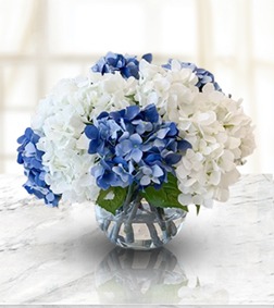 Blue Snow Hydrangea Bouquet