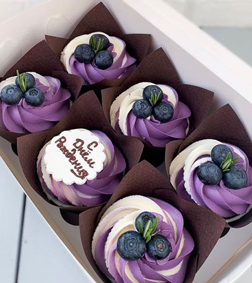 Blueberry Elegance Cupcakes