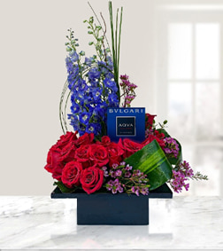 Bold Confession with Bvlgari AQVA pour Homme 100ML