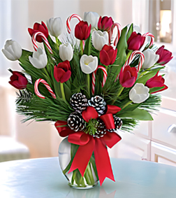 Candy Cane Tulips Bouquet, Christmas Gifts