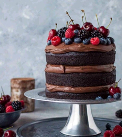 Choco-Berry Naked Cake