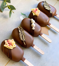 Choco Deluxe Cakesicles