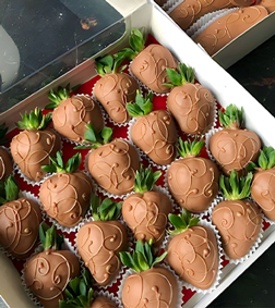 Choco-Berry Dipped Frenzy