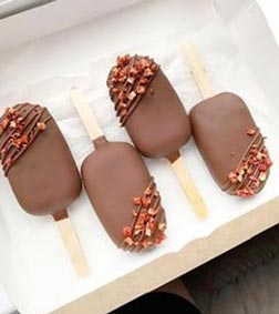 Chocolate Fudge Cakesicles
