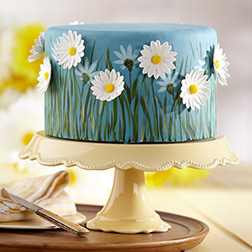 Field of Daisies Cake