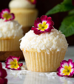 Coconut Paradise Cupcakes