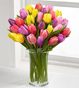 Color Assorted Tulip Bouquet, 1-Hour Gift Delivery