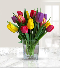 Colorful Love Confession, Tulips