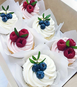 Cream & Berry 6 Cupcakes