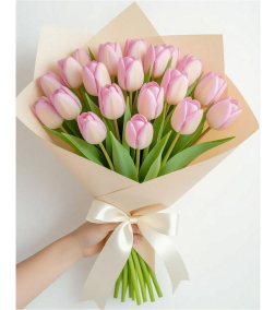 Delicately Pink Tulips