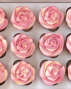 Divine Elegance Cupcakes