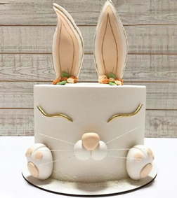 Dreany Easter Bunny Cake