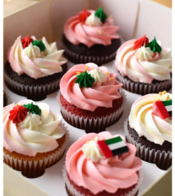 Emirates Day Brilliance Cupcakes