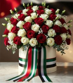 Emirati Pride Signature