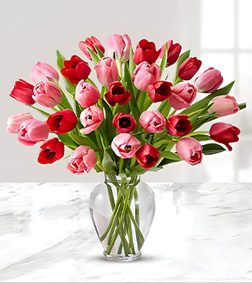 Ever After Tulips Bouquet, Mother's Day