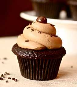 Fantastic Choco Cupcakes