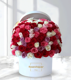 Fervent Flare Rose Hatbox