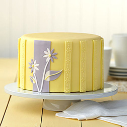 Dual-Toned Daisies Cake