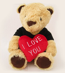 I love you teddy bear, Teddy Bears