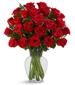 In Love with Red Roses