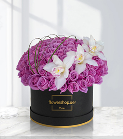 Luxurious Purple Rose and Orchid Harmony, Flowers