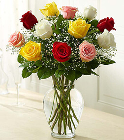 Premium Assorted Roses