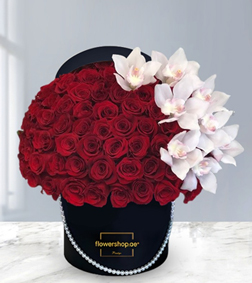Orchid Rose Symphony, Valentine's Day